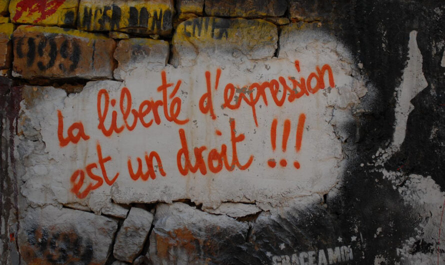 La liberté d’expression ne suffit pas !